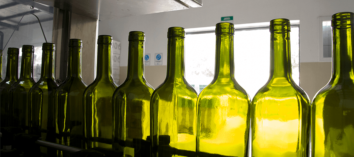 linea de envasado de vinos Aniello Patagnia