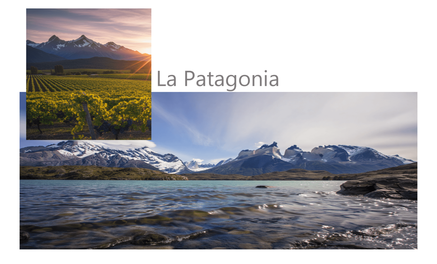 Vinos patagónicos de alta gama