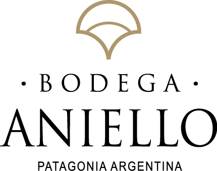 logo anielllo